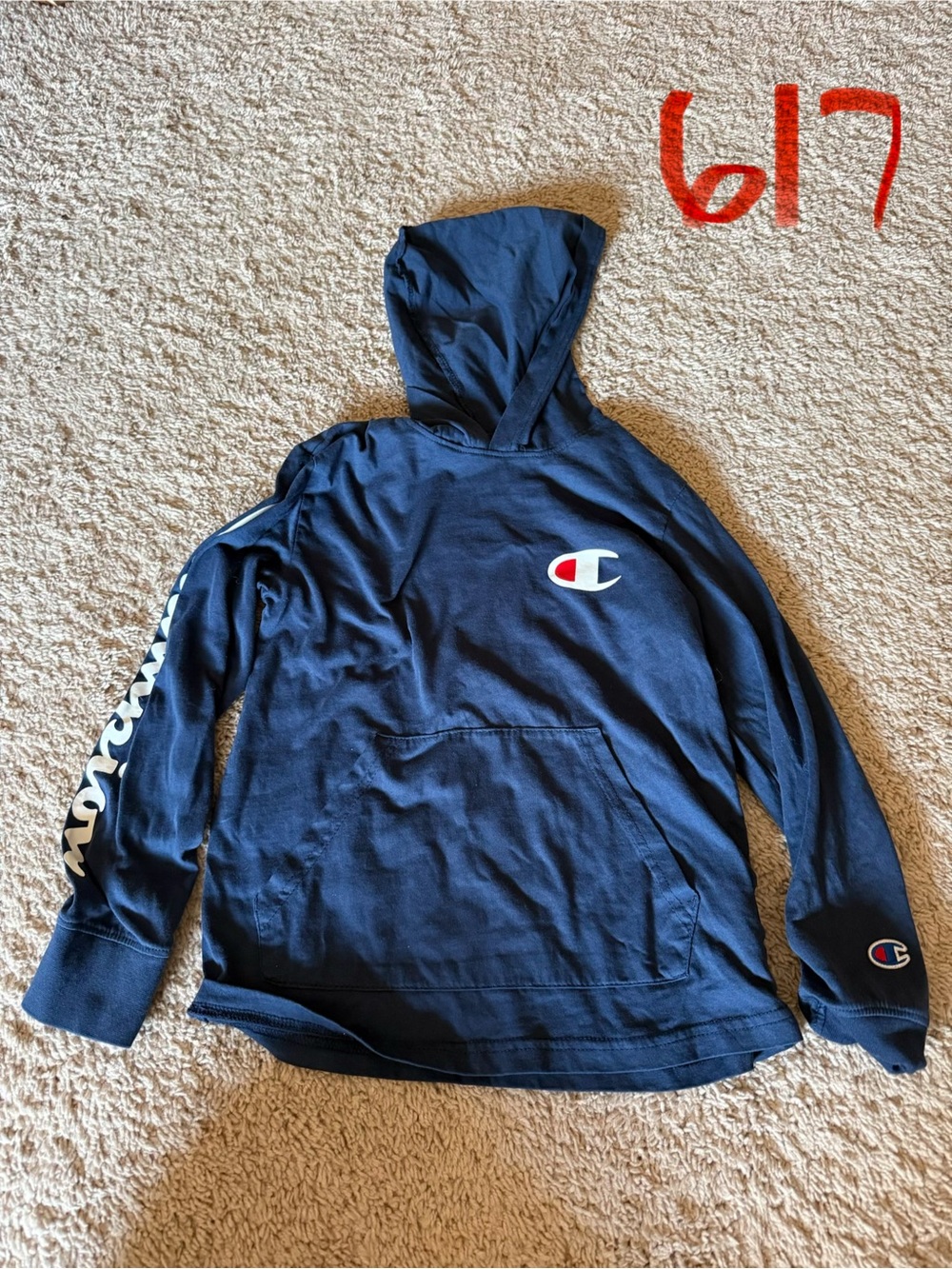 Champion Navy Hooded Sweatshirt with White and Red Logo